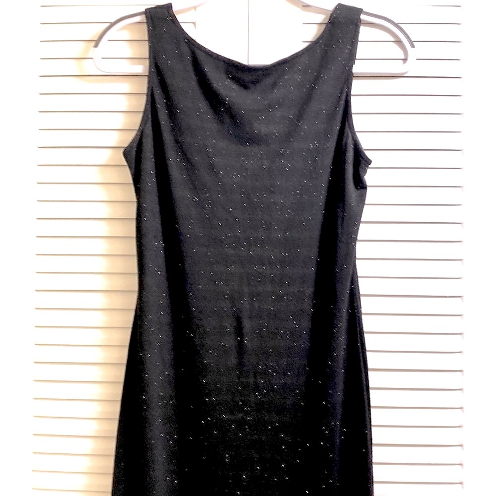 Alyn Paige Iridescent Black Dress Size (6)